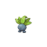 Pokémon #43 G
