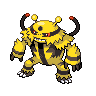 Pokémon #466 G