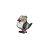 Pokémon #519 G