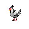 Pokémon #520 G