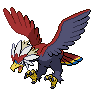 Pokémon #628 G