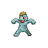 Pokémon #66 G