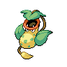 Pokémon #71 G