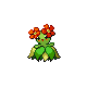 Joliflor femelle dans Platine