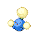 Cotovol femelle dans Platine