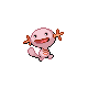 Axoloto femelle shiny dans Platine