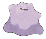 Image de Metamorph
