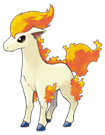 Ponyta