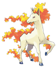 Galopa