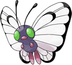 Papilusion shiny